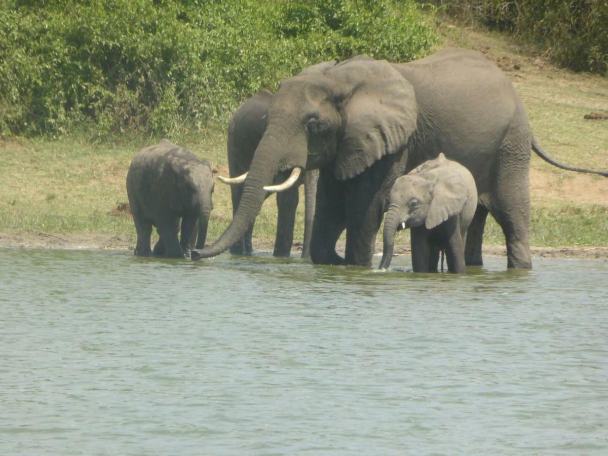 Irungu Forest Safari Lodge Katunguru Zewnętrze zdjęcie