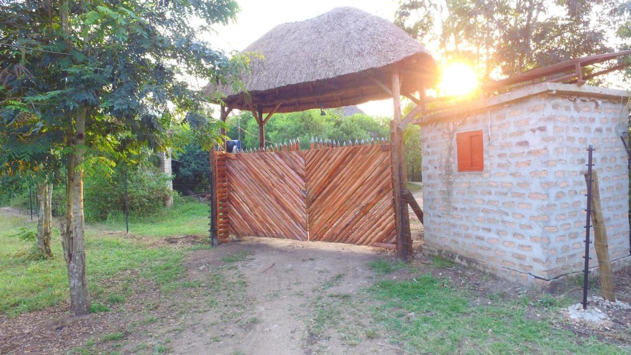 Irungu Forest Safari Lodge Katunguru Zewnętrze zdjęcie