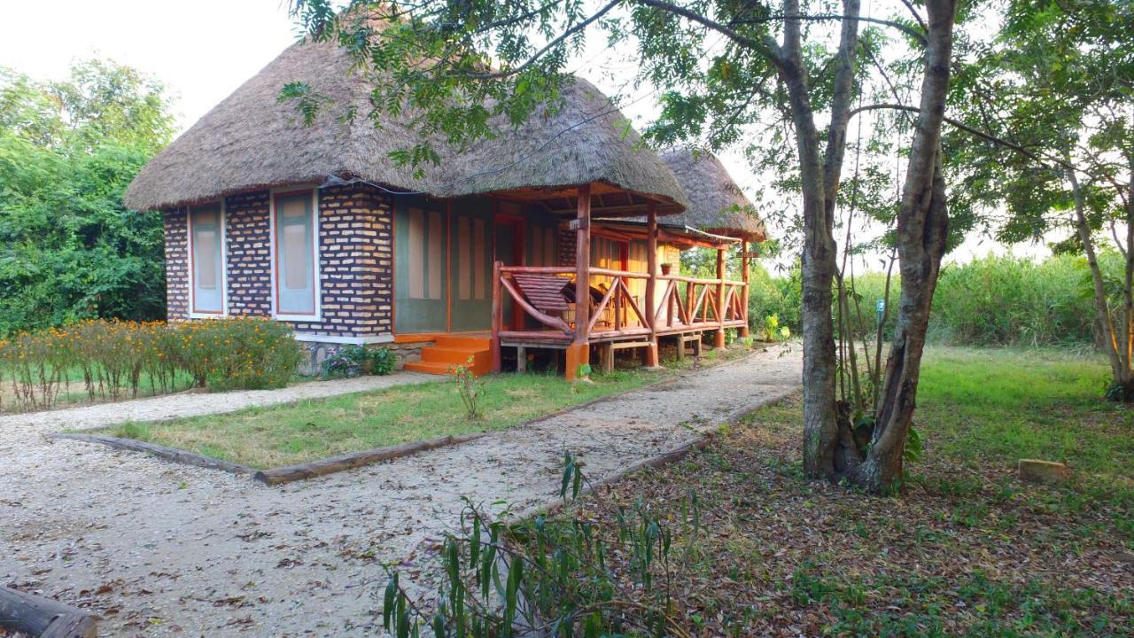 Irungu Forest Safari Lodge Katunguru Zewnętrze zdjęcie